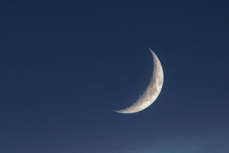 Moonlit Vows